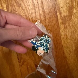 Disney Parks 2014 Pin
